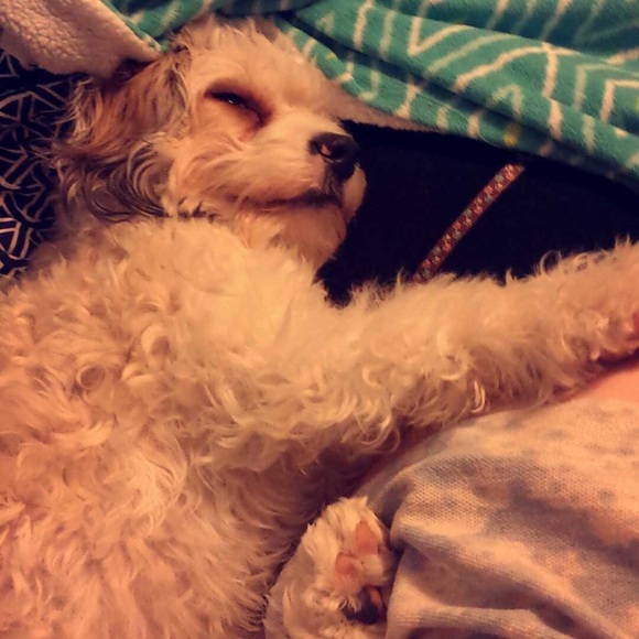 MEET MY PETS (: - Picture 8 of 16